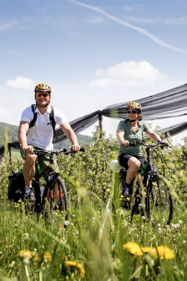 Radfahren im Steirischen Apfelland