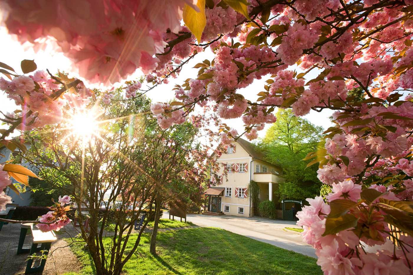 Ballonhotel mit Blüten
